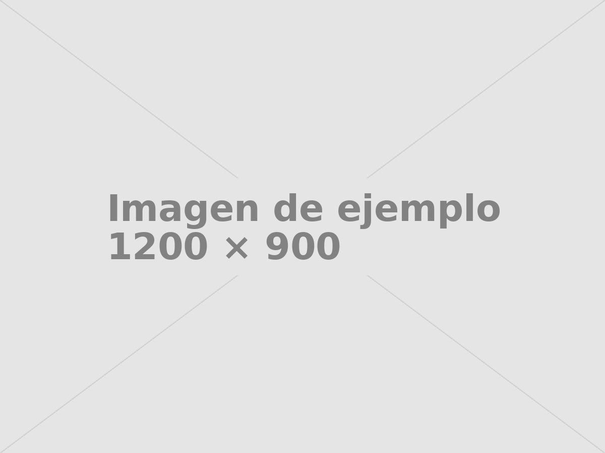imagen ejemplo Imagen de ejemplo